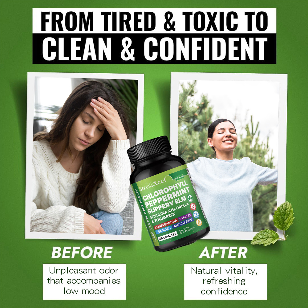 Chlorophyll Capsules, Supports – Health Wellness Day Bewertung und Preis