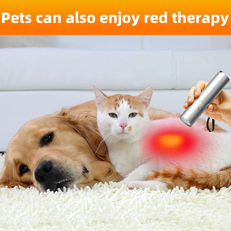 Blue Red Light Therapy Device  – Acne Light Therapy Pen Bewertung und Preis