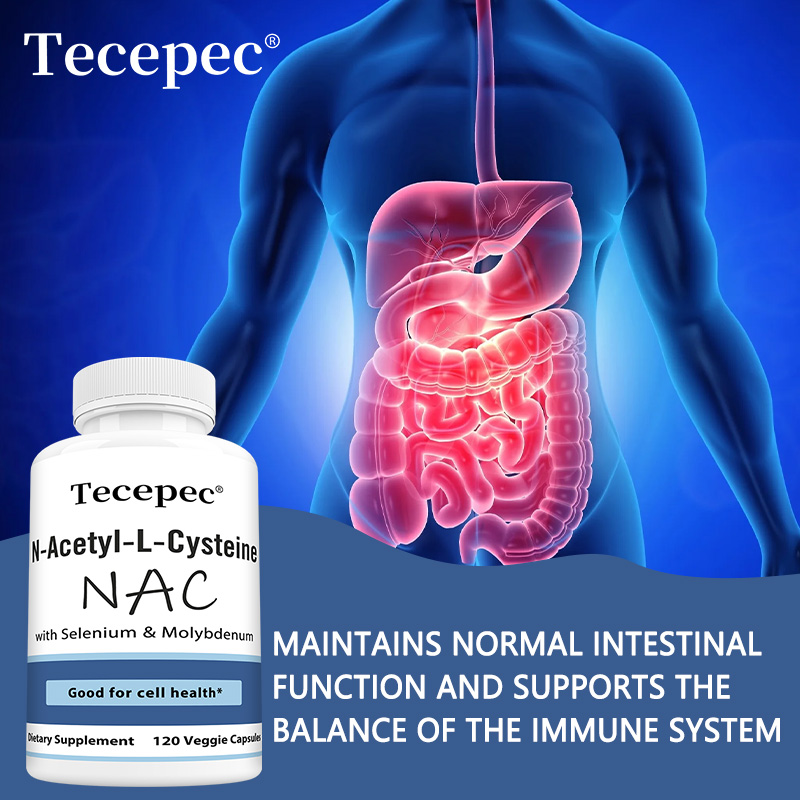 NAC Capsules – Antioxidant, Su – Health Wellness Day Bewertung und Preis